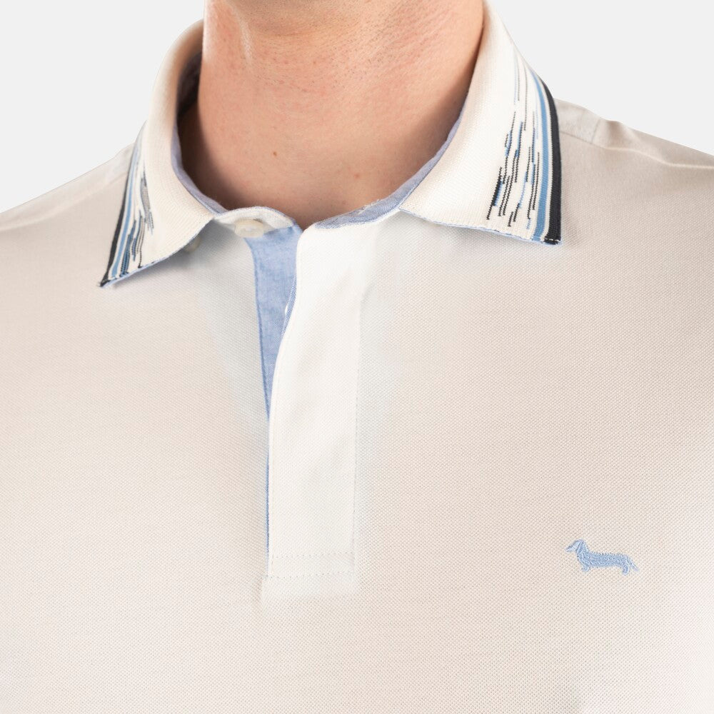 POLO - HARMONT & BLAINE